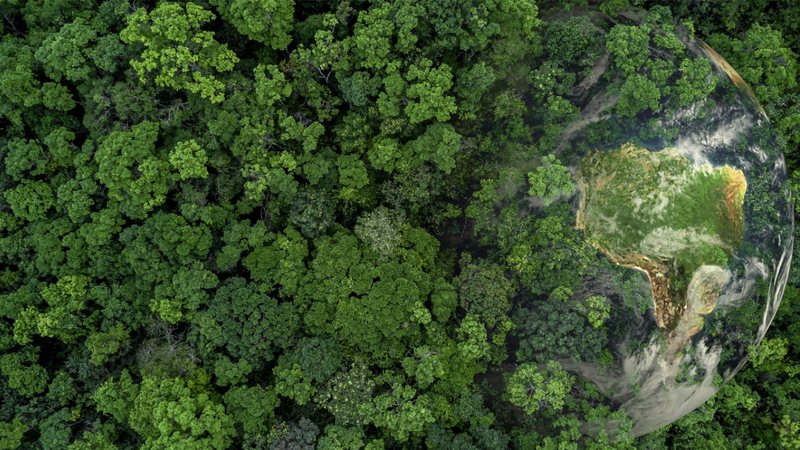 Dia Da Natureza 5 Atitudes Básicas Que Auxiliam Na Preservação Do Planeta 6194