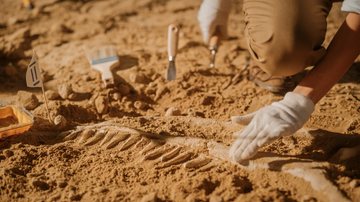Fóssil mais antigo que dinossauro foi encontrado no Brasil, vamos te explicar mais detalhes. - gorodenkoff / istock