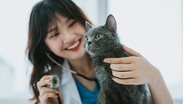 Todos os gatos precisam de atenção, mas algumas raças demandam cuidados específicos - SunnyVMD/iStock