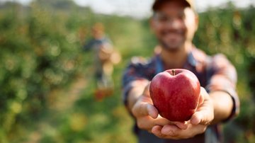 A maçã é uma fruta que pode ser consumida em doces e bolos, mas sabia que também está presente nos sucos? - Drazen Zigic/iStock