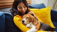 Tem algumas raças de cachorro que adoram um tempo de qualidade e carinho com seus donos. - champpixs / iStock