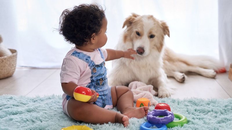 Saiba como preparar o animal para a chegada da criança! - warrengoldswain/iStock