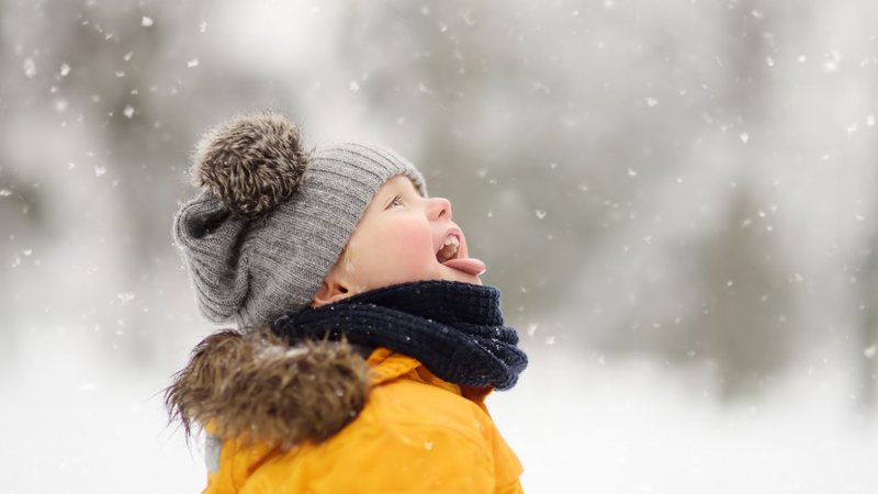 Conheça mais sobre o dia em que a neve se fez presente nas ruas da Cidade Maravilhosa. - SbytovaMN iStock