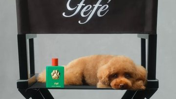 Se você ama deixar seu pet exalando um aroma delicioso, precisa conhecer o novo perfume para cachorro da Dolce & Gabbana. - Reprodução / Divulgação