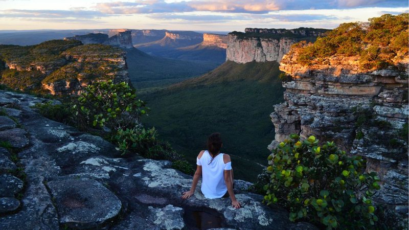 Conhecido como “berço das águas” no Brasil, as nascentes das grandes bacias hidrográficas estão no Cerrado. - Alvaro Garcia / istock