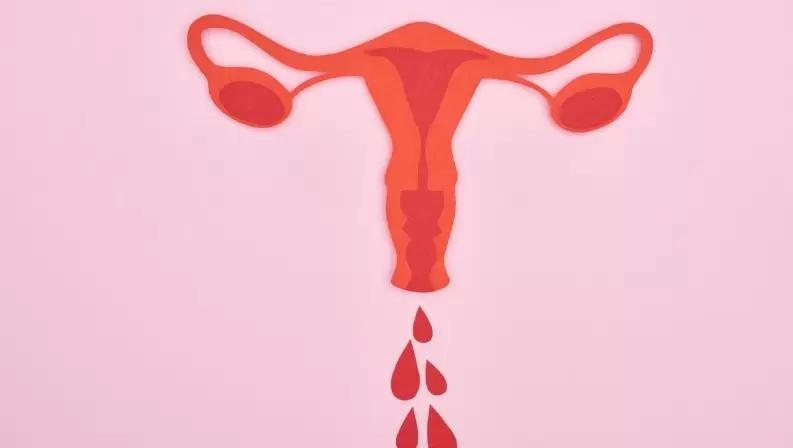 Primeira Menstruação 6 Coisas Que Você Precisa Saber 4952
