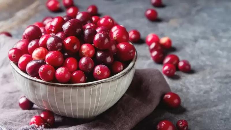 Cranberry Conhe A Os Benef Cios E Contraindica Es