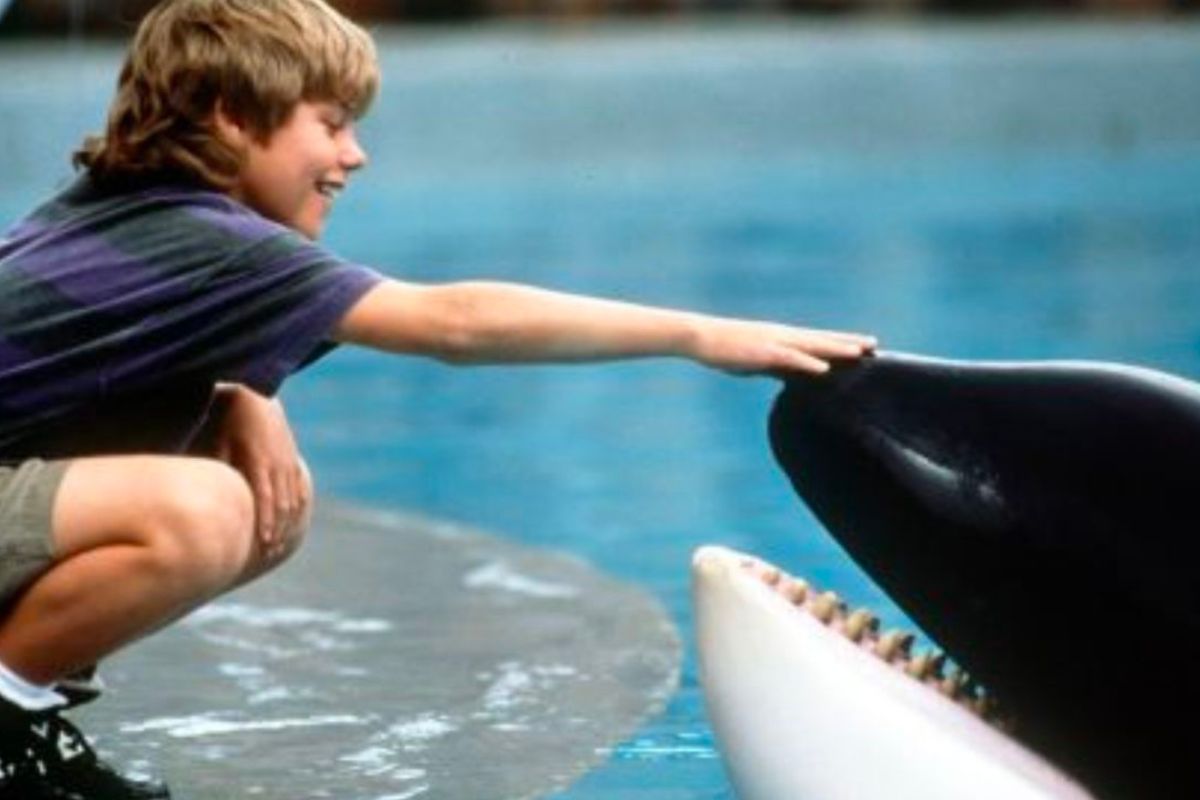 Free Willy: o que aconteceu com Keiko, a orca do filme?