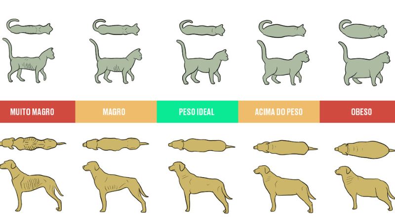 gráfico de sobrepeso pets